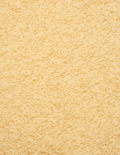 Ail en poudre - Dion Herbes et Épices