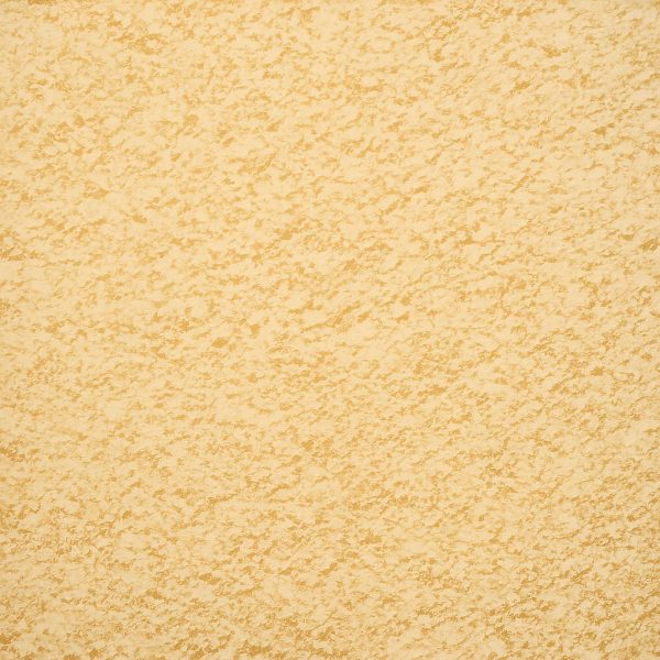 Ail en poudre - Dion Herbes et Épices