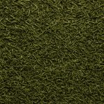 Aneth en feuilles - Dion Herbes et Épices