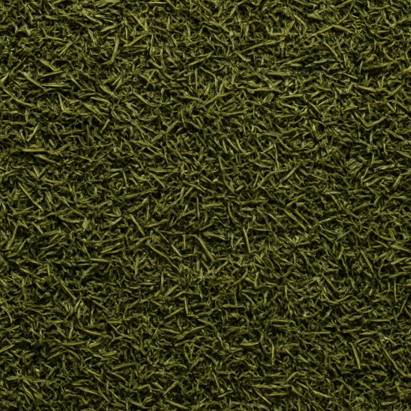 Aneth en feuilles - Dion Herbes et Épices