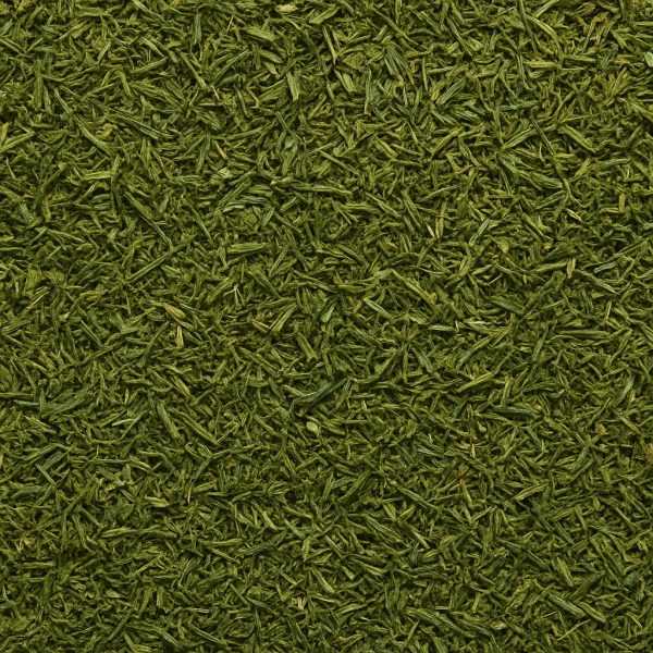 Aneth en feuilles biologique - Dion Herbes et Épices