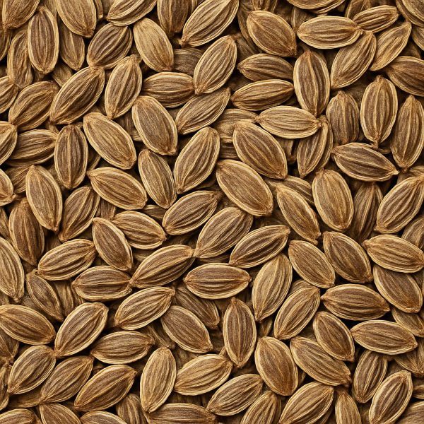 Aneth en graines - Dion Herbes et Épices