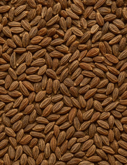 Anis en graines - Dion Herbes et Épices