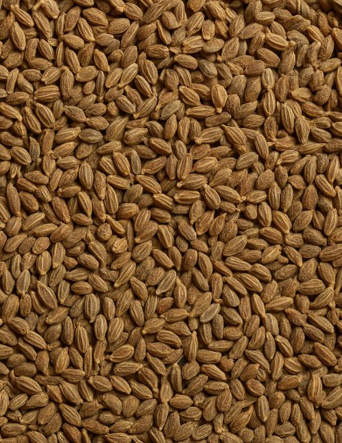 Anis en graines biologique - Dion Herbes et Épices