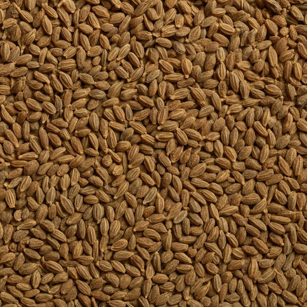 Anis en graines biologique - Dion Herbes et Épices