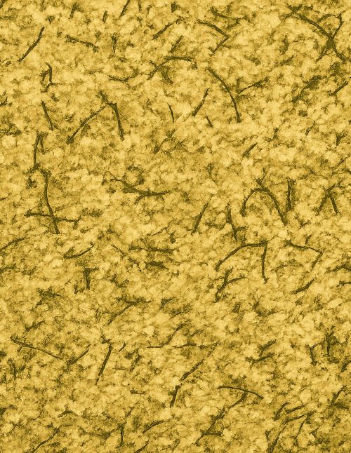 Assaisonnement citron et aneth - Dion Herbes et Épices