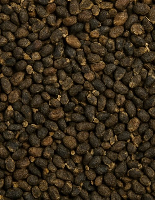 Cardamome en graines - Dion Herbes et Épices