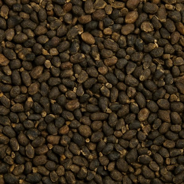 Cardamome en graines - Dion Herbes et Épices