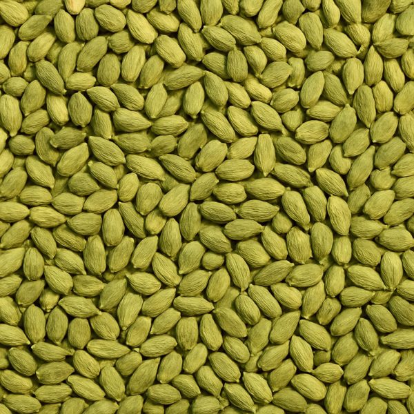 Cardamome verte - Dion Herbes et Épices