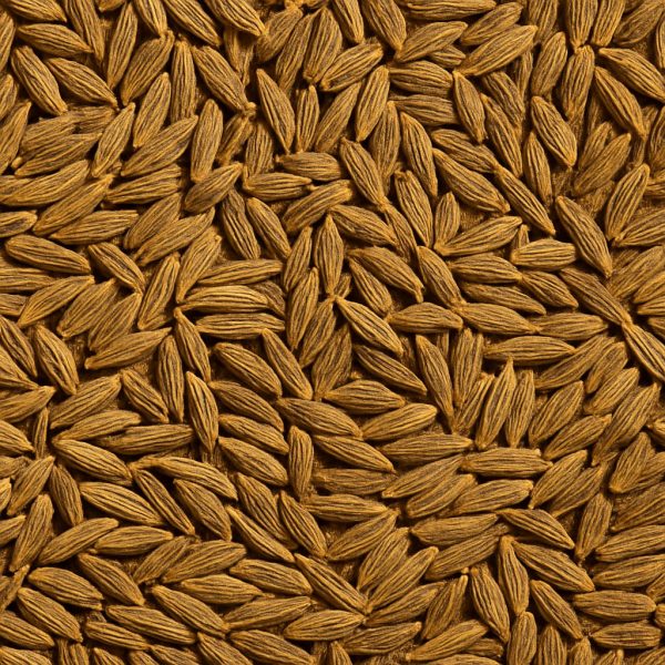 Carvi en graines biologique - Dion Herbes et Épices