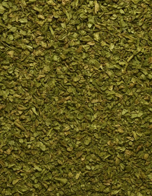 Cerfeuil - Dion Herbes et Épices