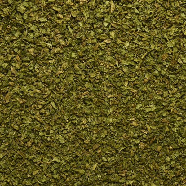 Cerfeuil - Dion Herbes et Épices