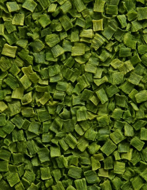 Ciboulette fine - Dion Herbes et Épices