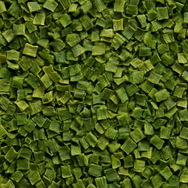 Ciboulette fine - Dion Herbes et Épices