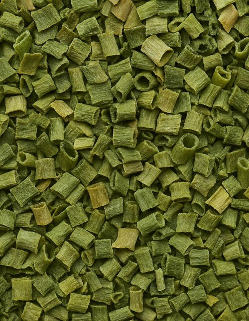 Ciboulette fine biologique - Dion Herbes et Épices