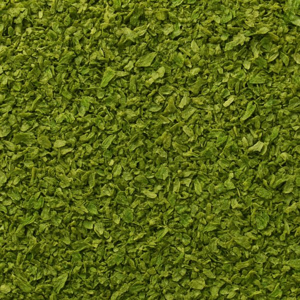 Coriandre en feuilles cilantro() - Dion Herbes et Épices