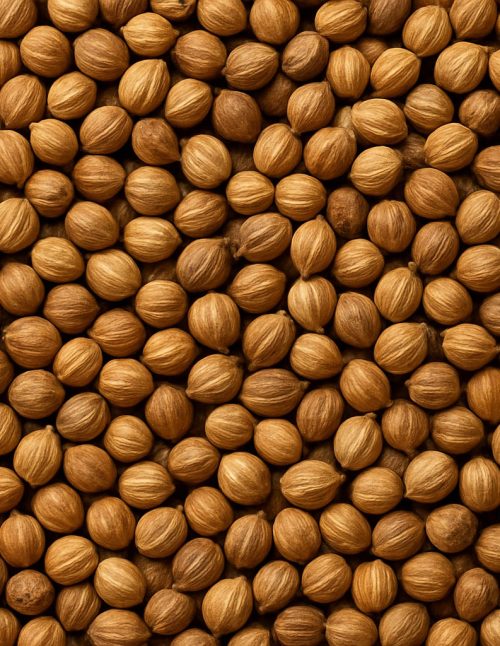 Coriandre en graines - Dion Herbes et Épices