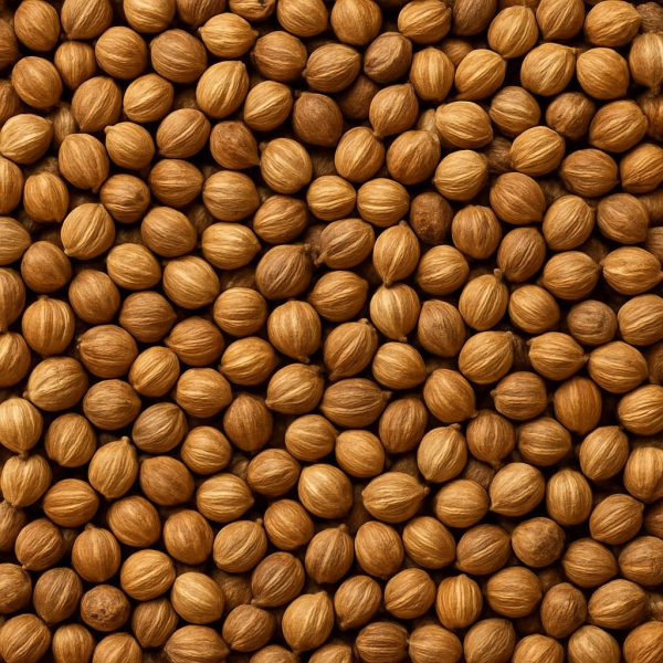 Coriandre en graines - Dion Herbes et Épices