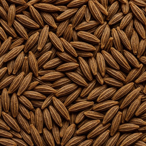 Cumin en graines biologique - Dion Herbes et Épices