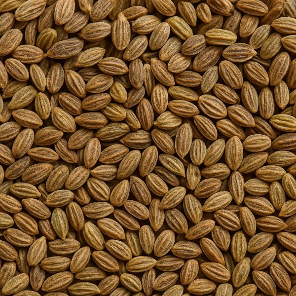 Céleri en graines - Dion Herbes et Épices