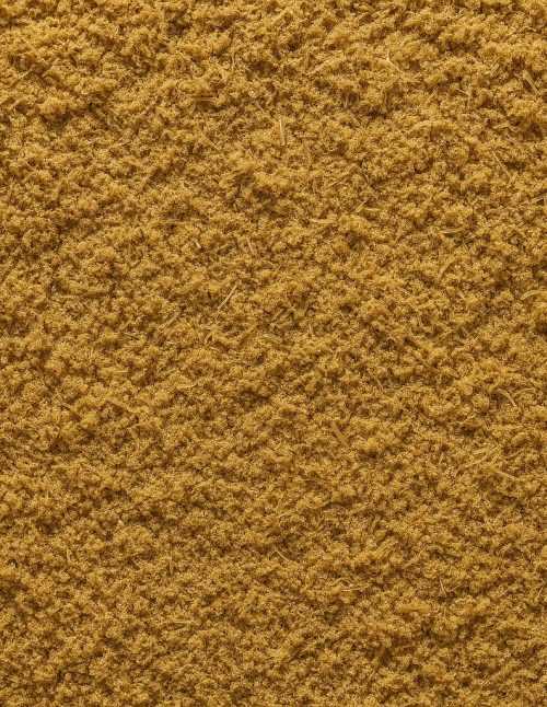 Fenouil moulu biologique - Dion Herbes et Épices