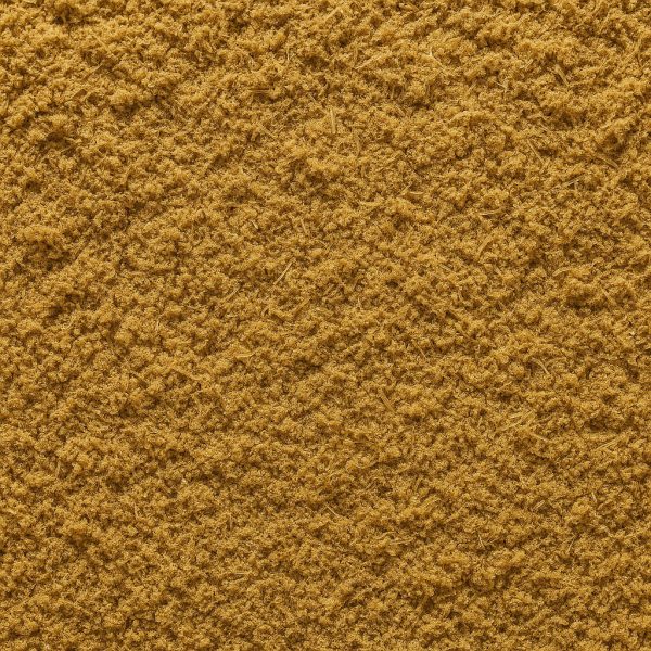 Fenouil moulu biologique - Dion Herbes et Épices