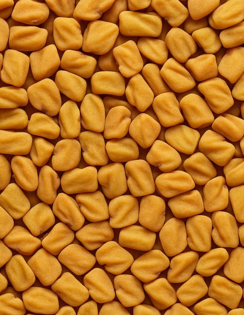 Fenugrec biologique - Dion Herbes et Épices