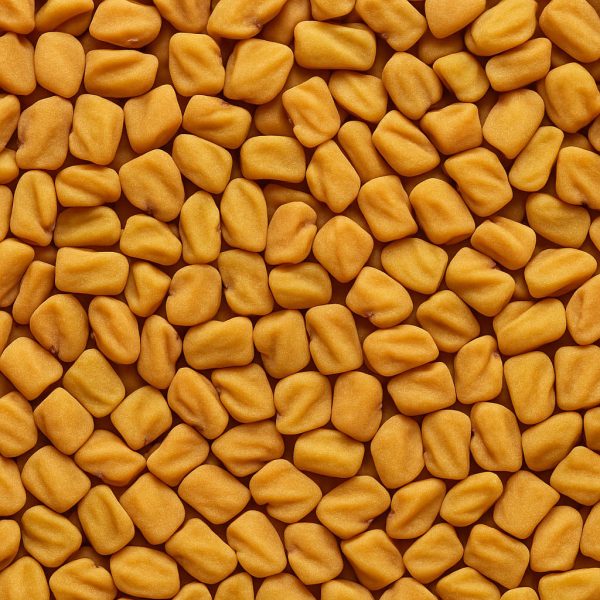 Fenugrec biologique - Dion Herbes et Épices