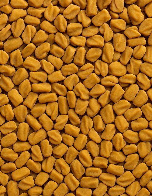 Fenugrec entier - Dion Herbes et Épices