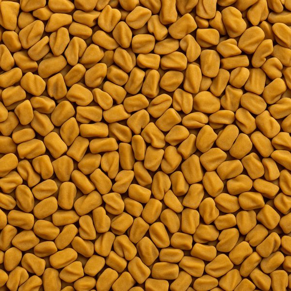 Fenugrec entier - Dion Herbes et Épices