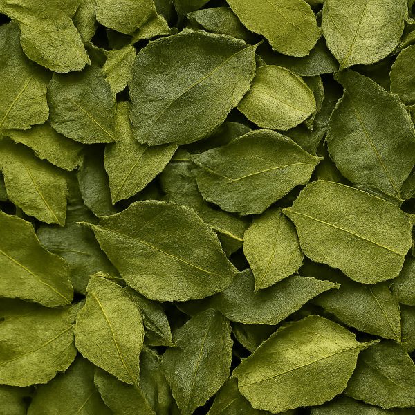 Feuilles de lime kaffir - Dion Herbes et Épices