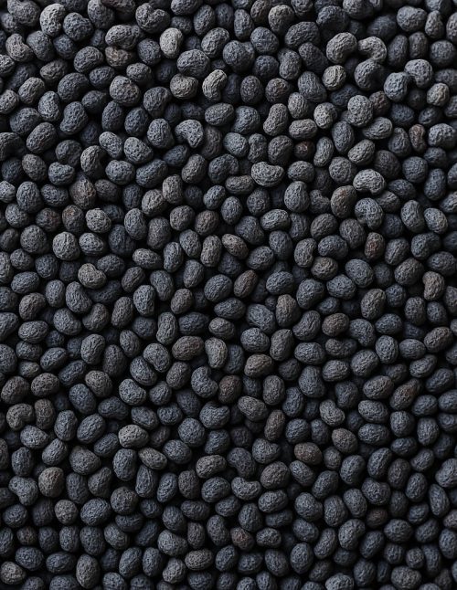 Graines de pavot - Dion Herbes et Épices