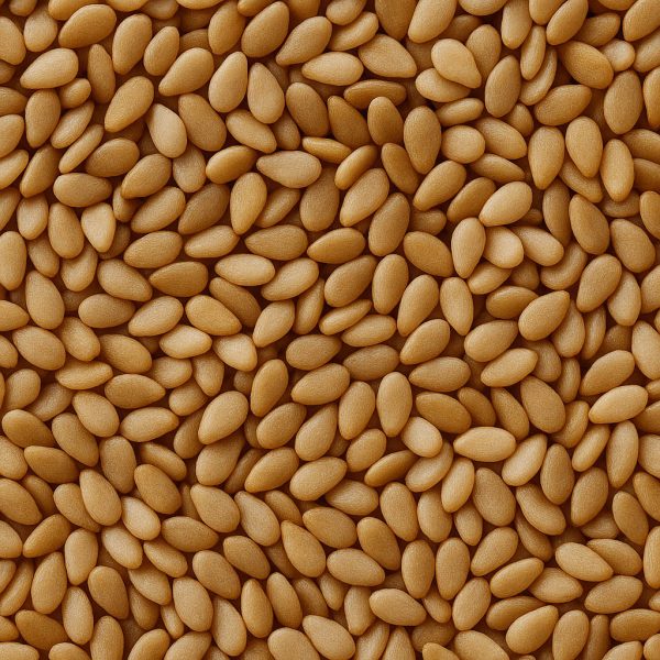 Graines de sésame - Dion Herbes et Épices