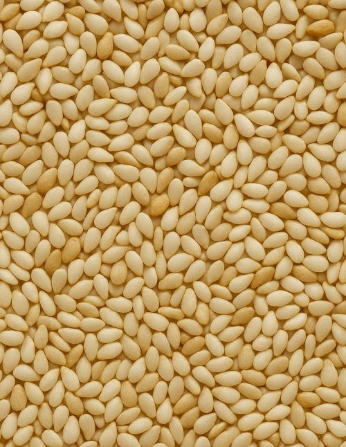 Graines de sésame biologique - Dion Herbes et Épices