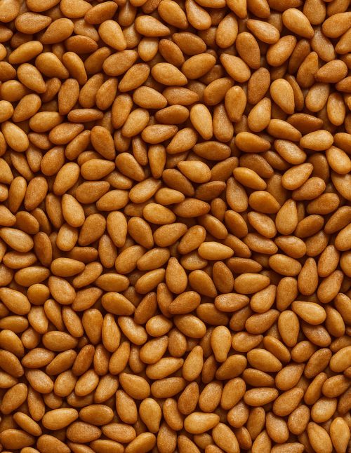 Graines de sésame rôties - Dion Herbes et Épices