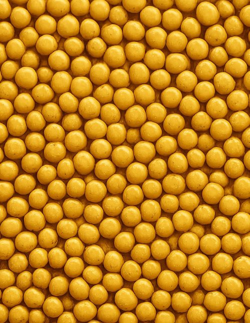 Moutarde en graines biologique - Dion Herbes et Épices