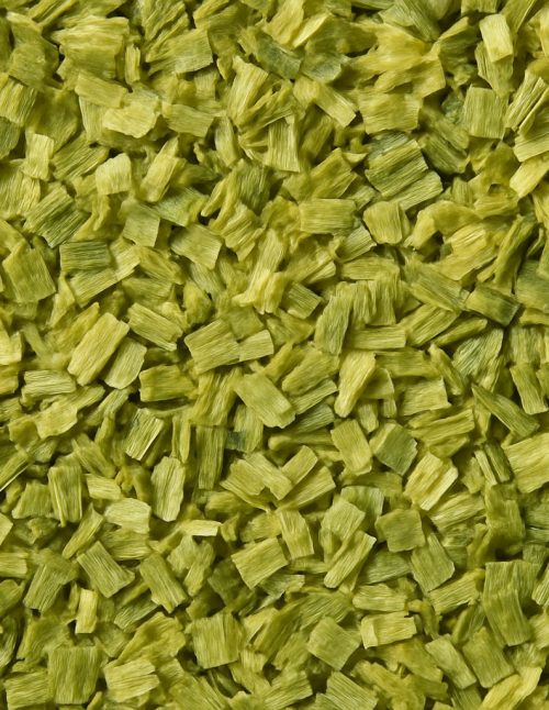 Oignon vert - Dion Herbes et Épices