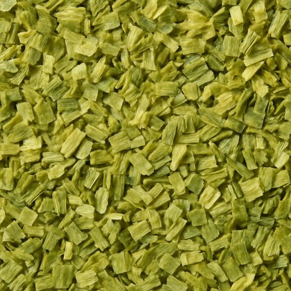 Oignon vert - Dion Herbes et Épices