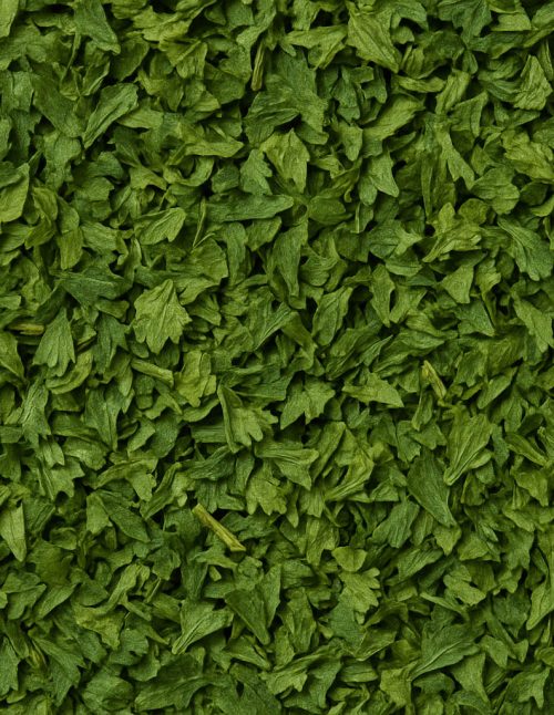 Persil biologique - Dion Herbes et Épices