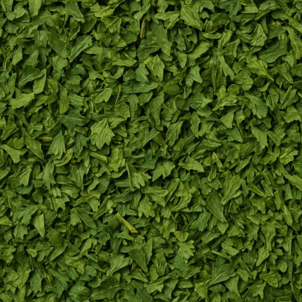 Persil biologique - Dion Herbes et Épices