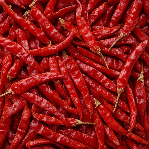 Piment chili entier - Dion Herbes et Épices