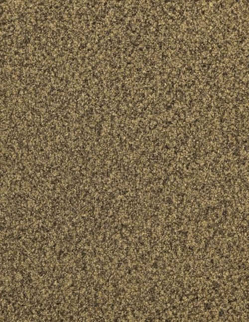 Poivre de céleri - Dion Herbes et Épices