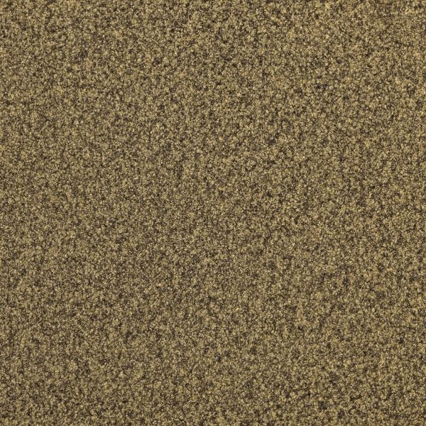 Poivre de céleri - Dion Herbes et Épices