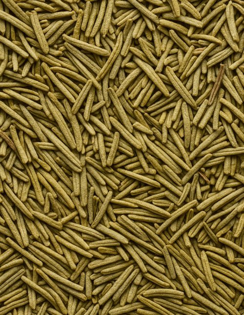 Romarin - Dion Herbes et Épices