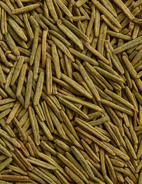 Romarin biologique - Dion Herbes et Épices