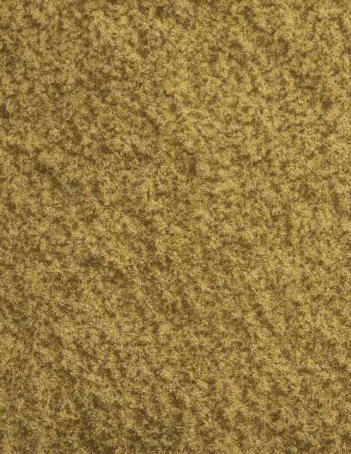 Romarin moulu - Dion Herbes et Épices