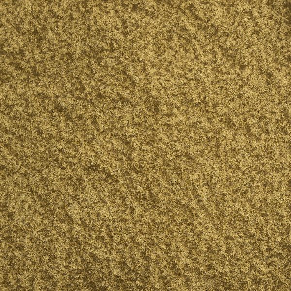 Romarin moulu - Dion Herbes et Épices