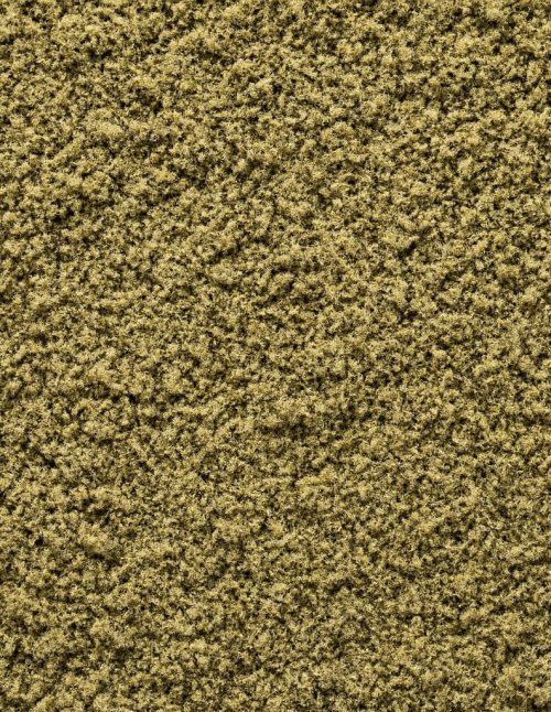 Sauge moulue - Dion Herbes et Épices