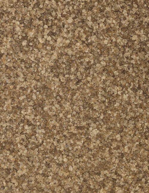 Sel de céleri - Dion Herbes et Épices