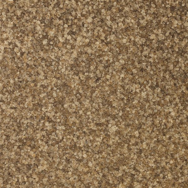 Sel de céleri biologique - Dion Herbes et Épices